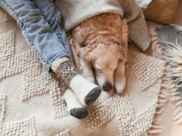 Hond en persoon op een kleed